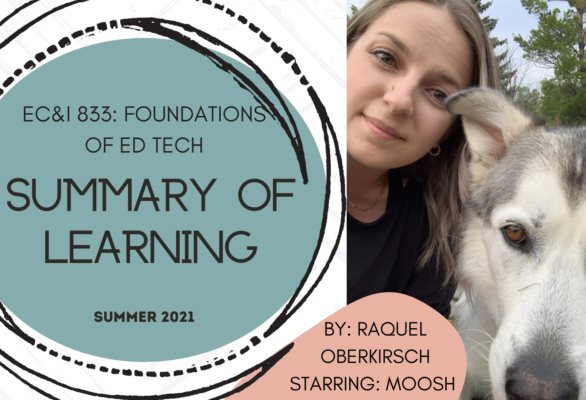 EC&I 833 Summary of Learning